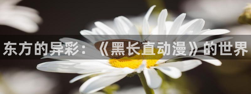 什么是里番动漫：东方的异彩：《黑长直动漫》的世界