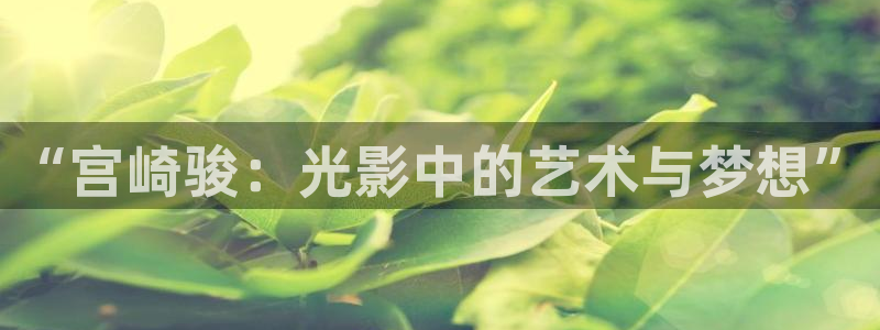 里番动漫视频观看：“宫崎骏：光影中的艺术与梦想”