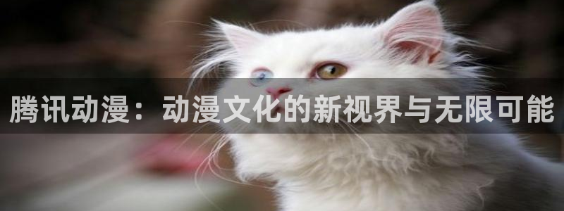 日本里番动漫大全：腾讯动漫：动漫文化的新视界与无限可能