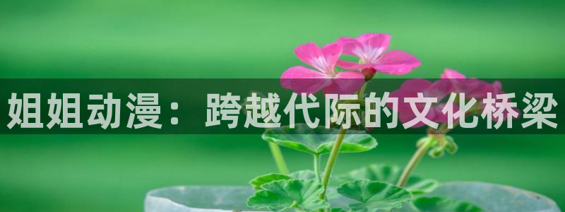 3d里番动漫推荐：姐姐动漫：跨越代际的文化桥梁