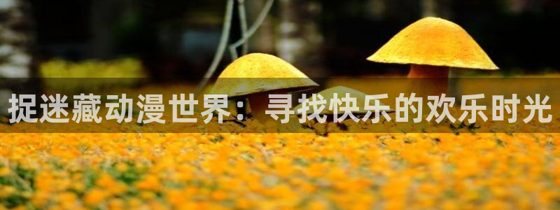 里番动漫网址：捉迷藏动漫世界：寻找快乐的欢乐时光