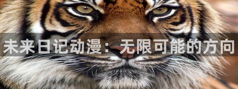 最新h里番动漫：未来日记动漫：无限可能的方向