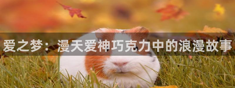 星辰里番动漫：爱之梦：漫天爱神巧克力中的浪漫故事