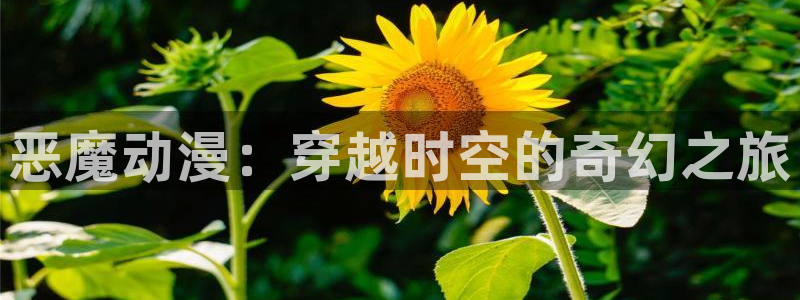 里番动漫排行榜：恶魔动漫：穿越时空的奇幻之旅